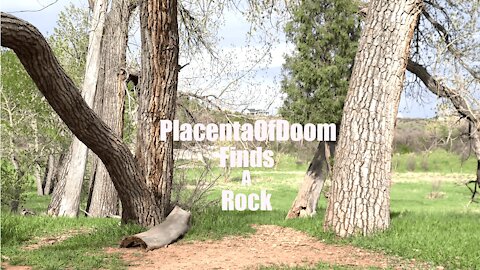 PlacentaOfDoom Finds A Rock