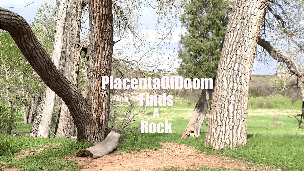 PlacentaOfDoom Finds A Rock