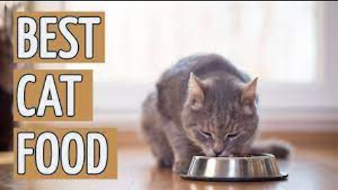 Best Cat Food, Natural Way to Feed a Cat : Cat Health Care