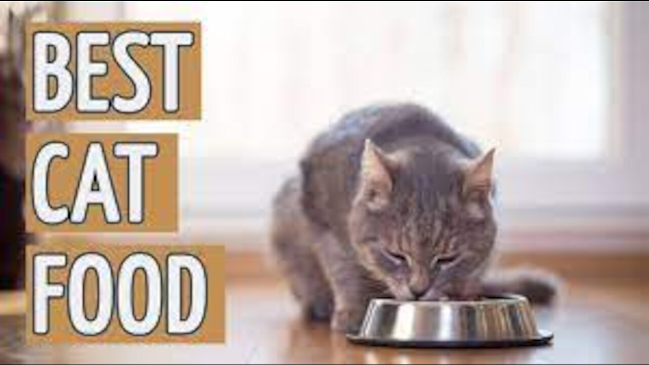 Best Cat Food, Natural Way to Feed a Cat : Cat Health Care