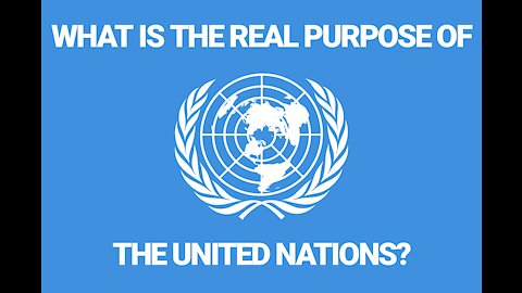 What Is The Real Purpose Of The United Nations?