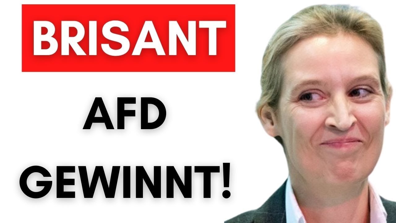 Verfassungsschutz wird durch AfD-Klage komplett zerstört!@Alexander Raue