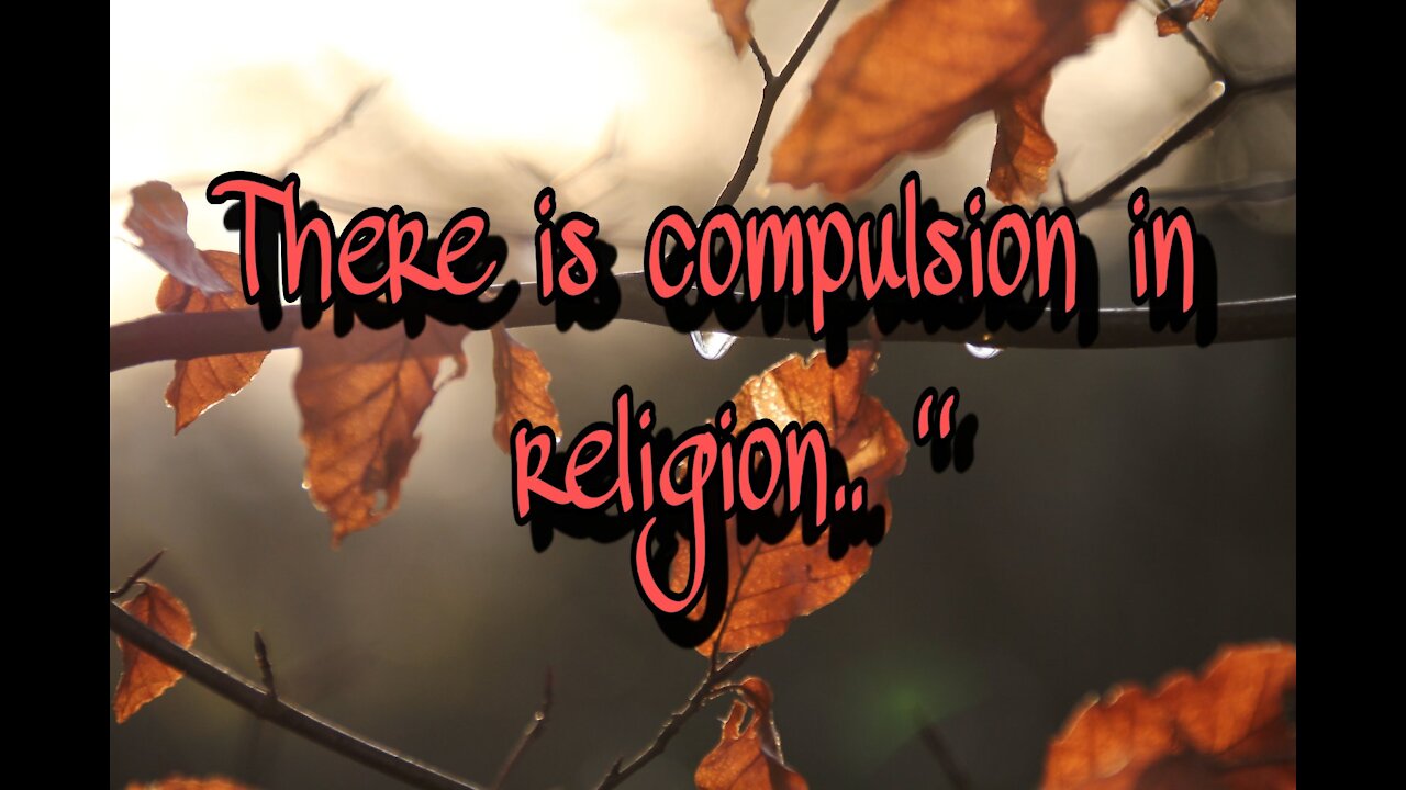 this is what is impotant to clarifly what it really means to be muslim