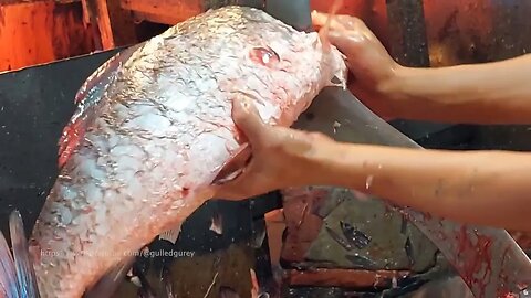 Amazing Fish Cutting | Fish Cutting Skills In Bangladesh Fish Market | Guled Gurey