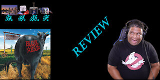 Blink-182 - Dude Ranch Album Review