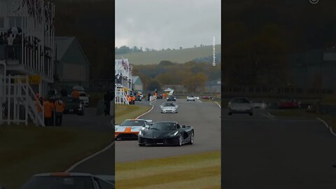 cars raiding laver ❤️❤️❤️