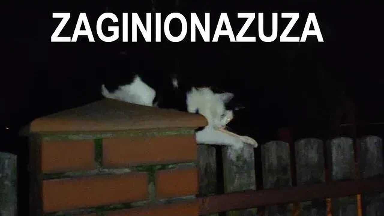 ZAGINIONAZUZA