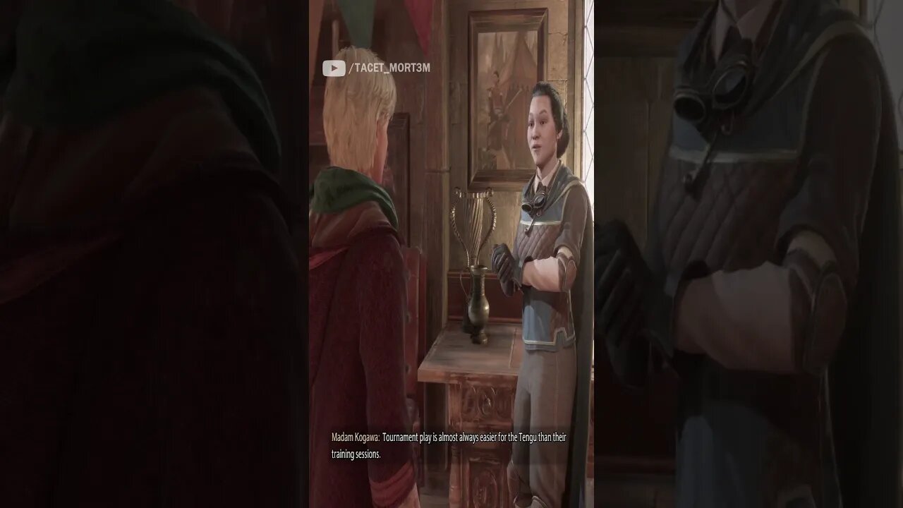 HISTORY Of QUIDDITCH In Hogwarts Legacy PART 1