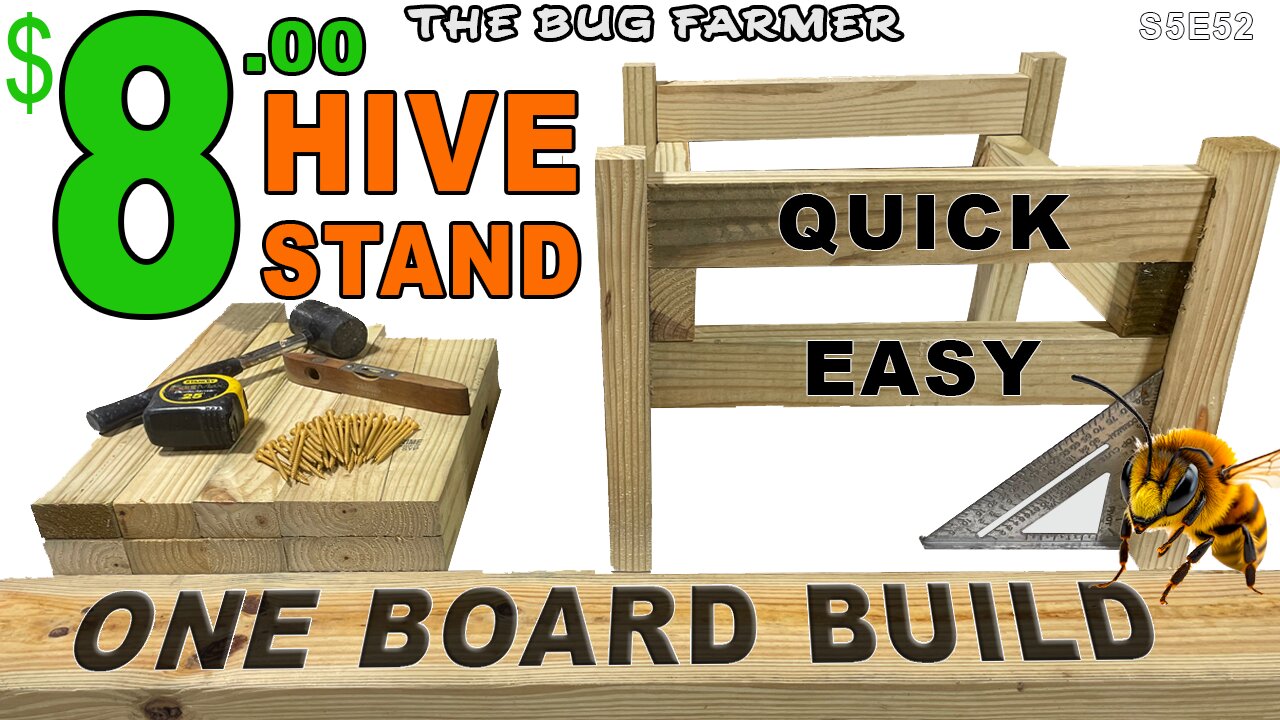 ONE BOARD BUILD. Quick and Easy $8 Dollar Hive Stand