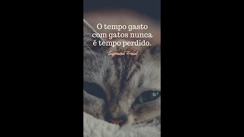 Love Animal - If you also love animals like me please
