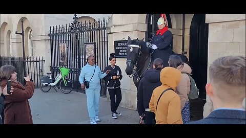 Try to grab the Reins Guard pulls horse away tourist thinks funny #horseguardsparade