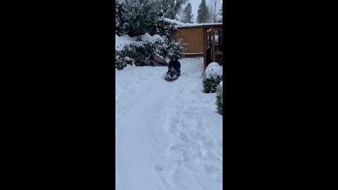 Chicken sledding