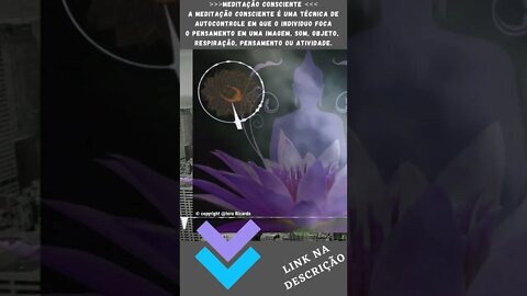 Conscious Meditation + ABSULUTE YOGA [Can you imagine the benefits in mind and body? ]] #Shorts