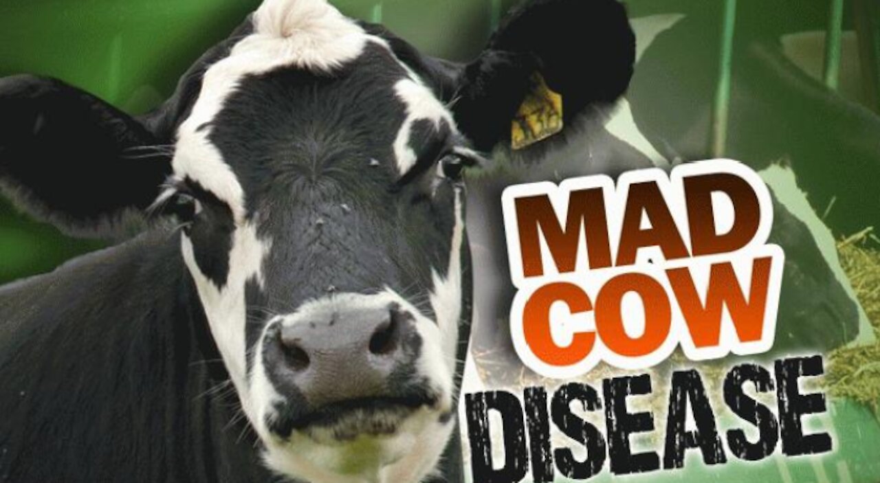 Vaccine Spike Proteins Causes Mad Cow Disease and Alzheimer's