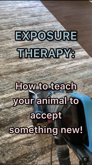 How to teach your pet (family member) to not fear something new!