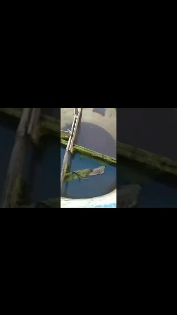 #water #aguilar #gcm #funny