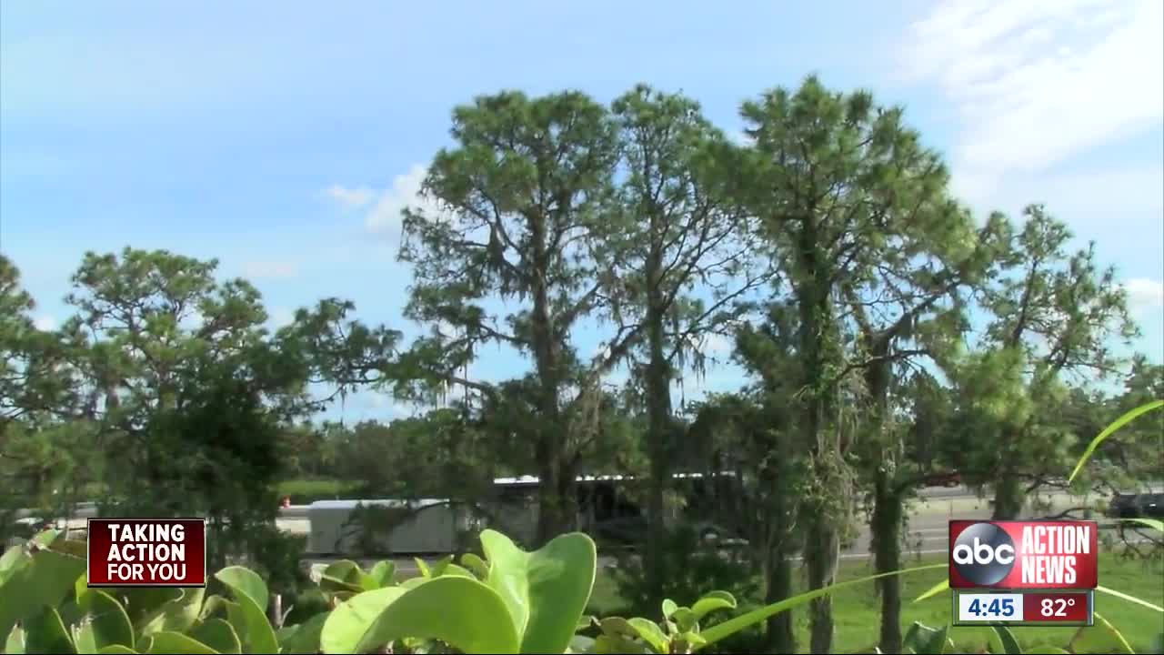 Homeowners upset with FDOT's I-75 sound wall plan to skip neighborhood