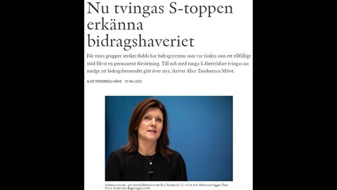 Alice Teodorescu Måwe: Bidragshaveriet