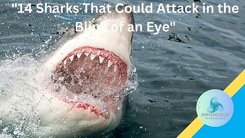 "14 Sharks That Could Attack in the Blink of an Eye"