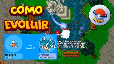 PokePlanet como fazer GYARADOS - PokeTibia