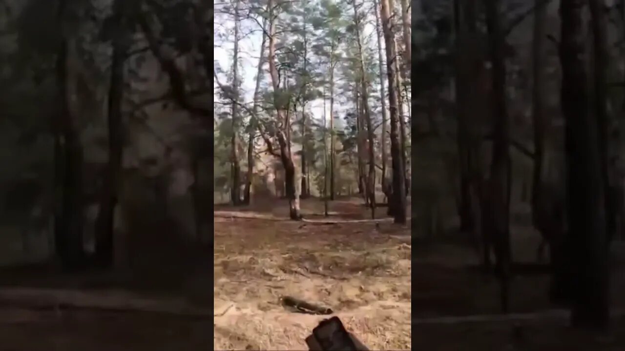 Fighting in Ukraine #shorts