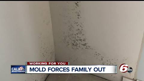 Mold forces family out of Brownburg home for years