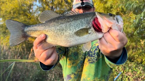 THIS BASS COULD FIT A BASKETBALL IN ITS MOUTH