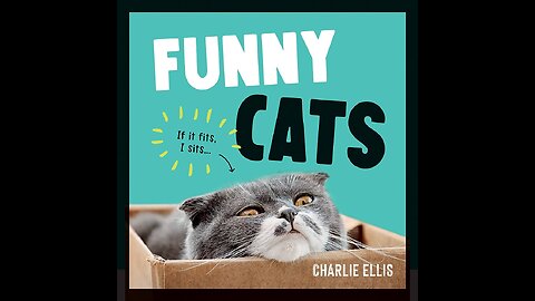 New funny animals 🤣 funniest cats videos