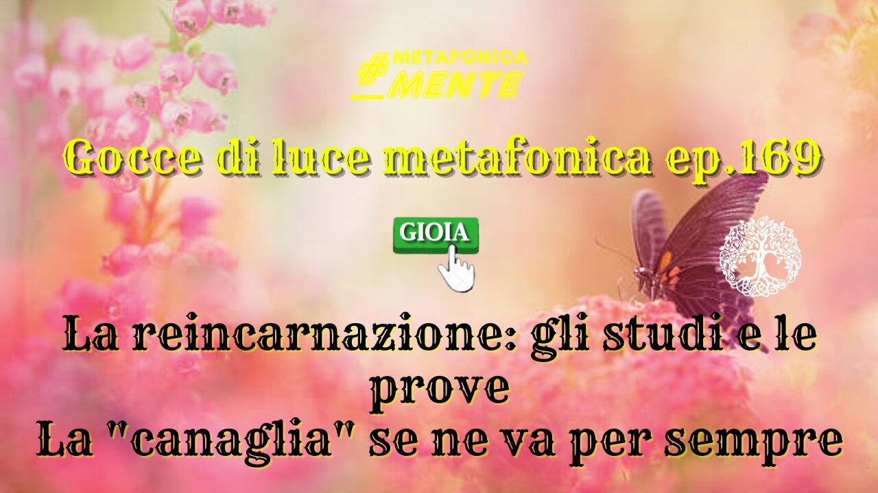 Gocce p169| Le ricerche scientifiche sulla reincarnazione| E'tempo che il male lasci libera la Terra