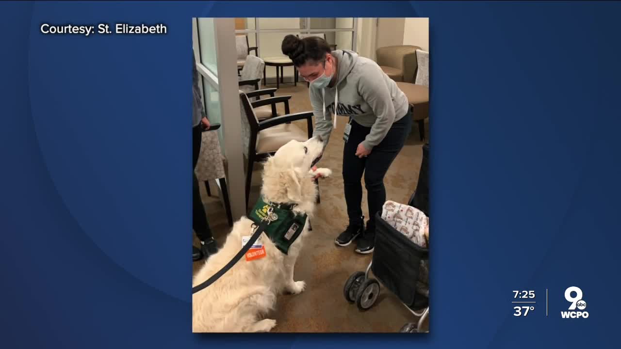 Pet therapy for St. Elizabeth frontline health care workers