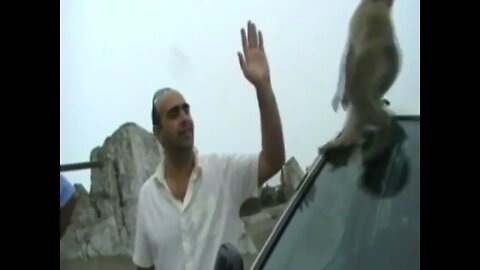 Gibraltar 2007