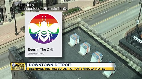 Beehives installed on top of Shinola Hotel