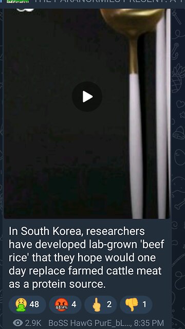 News Shorts: Lab Grown Beef Rice