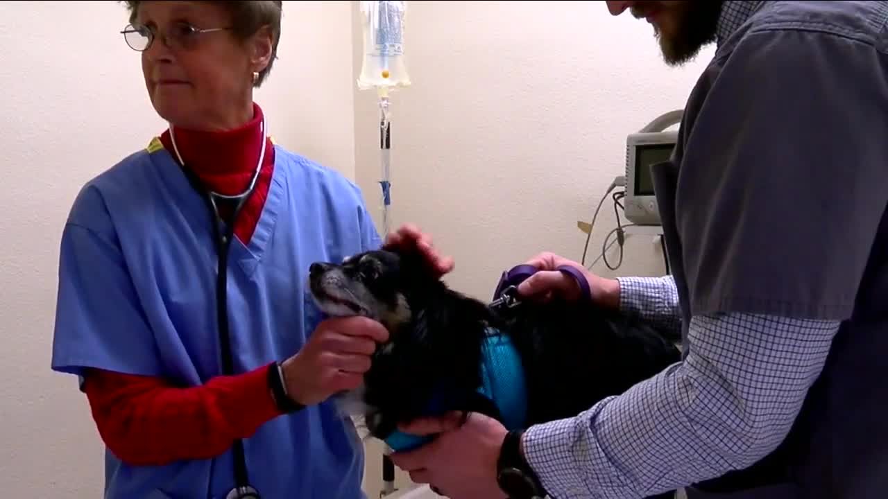 Viewers donate nearly $3,000 to help Fort Collins vet clinic with expensive X-ray machine