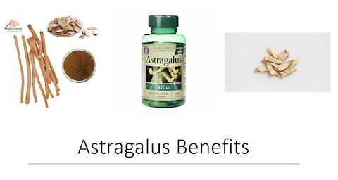 Astragalus Benefits