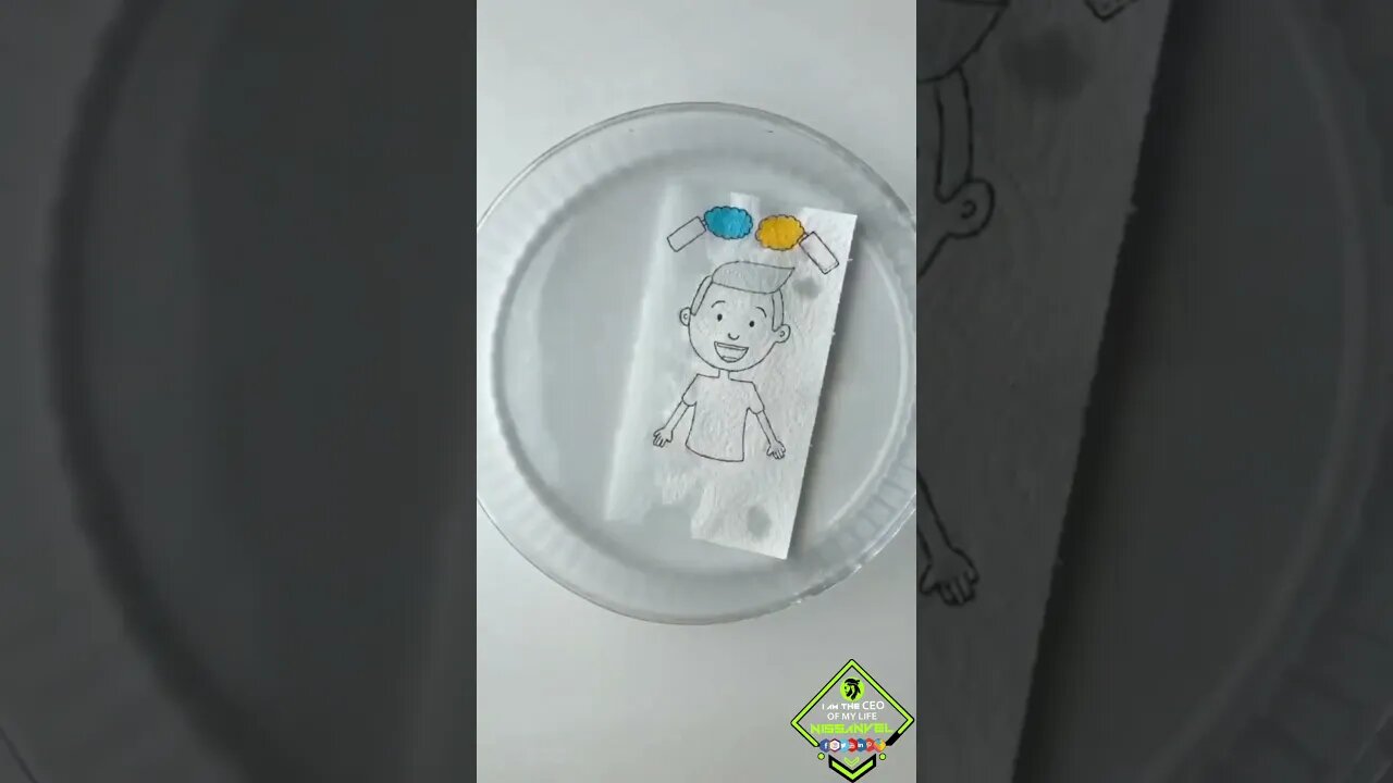 Magic paper #craft #artwork #mostviewed #kids #madeforkids #shorts