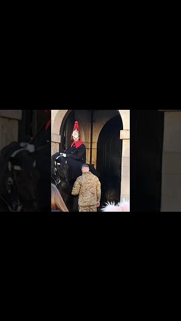 Read my lips 😆 🤣 😆 🤣 😂 #horseguardsparade