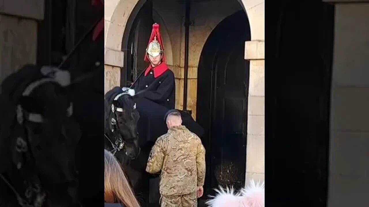 Read my lips 😆 🤣 😆 🤣 😂 #horseguardsparade