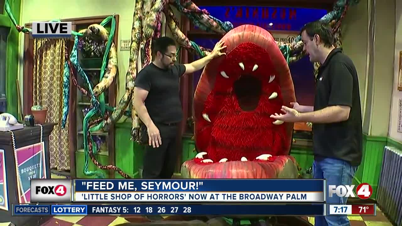 'Little Shop of Horrors' now playing at a Fort Myers dinner theater - 7am live report