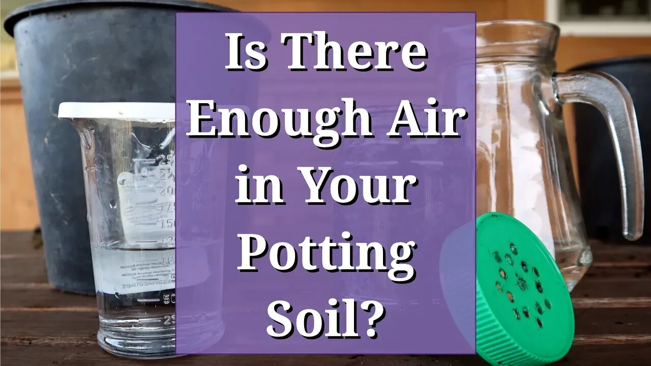 Is There Enough Air in Your Potting Soil?