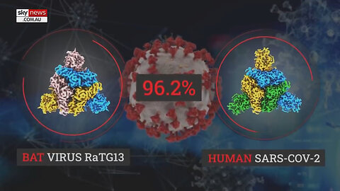 What Really Happened in Wuhan?