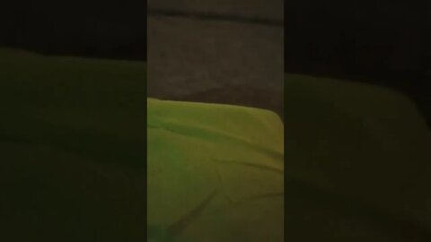 After midnight #gangstalking 10/14/2022