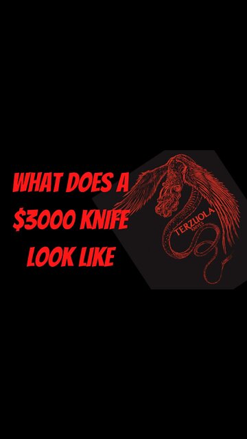 What does a $3000 knife look like #Shorts #Knives #CustomKnife #KnifeLife #Knife #KnifeSharpening