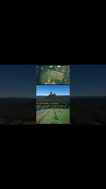 Syntropic Farming & Regenerative Agriculture