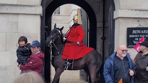 (Lower your flag) Flag frightens Horse teacher's protest London #horseguardsparade