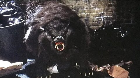 Are We Getting A Remake Of An American Werewolf in London?