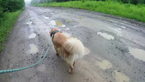 June 29th, Flynn and I get muddy, knock-off battery dies.