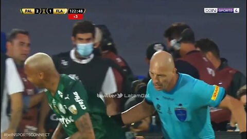 Brazilian Player Dives After Referee Touch's Him