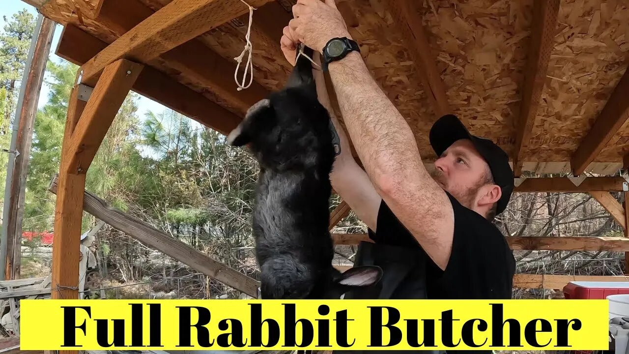 How to Butcher a Rabbit