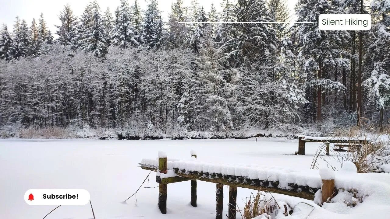 Wandern im Schnee - Naturpark Aukrug | Schleswig-Holstein